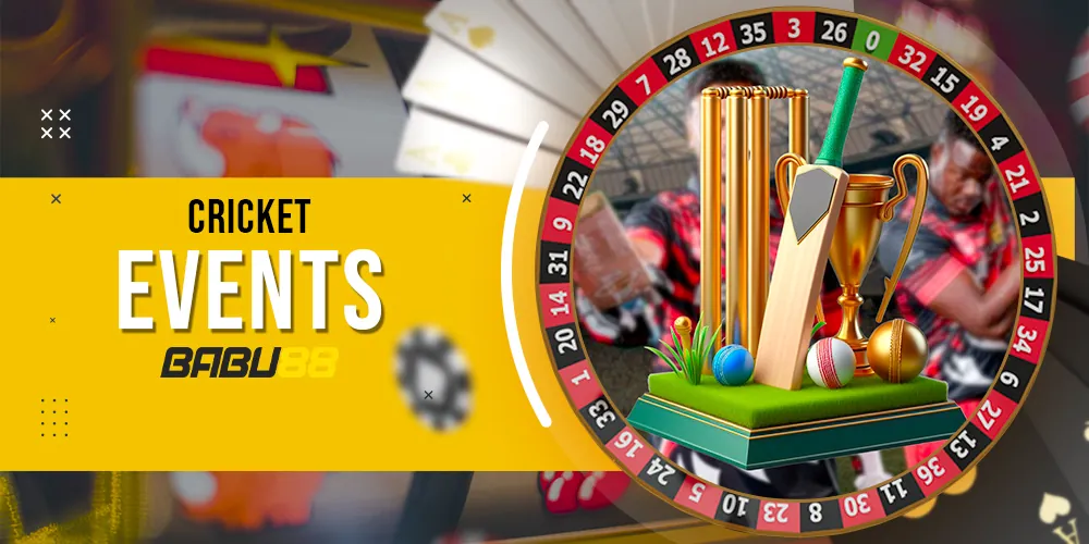 Cricket Tournaments review